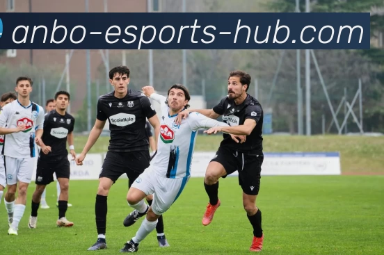 安博电竞中心服务体系